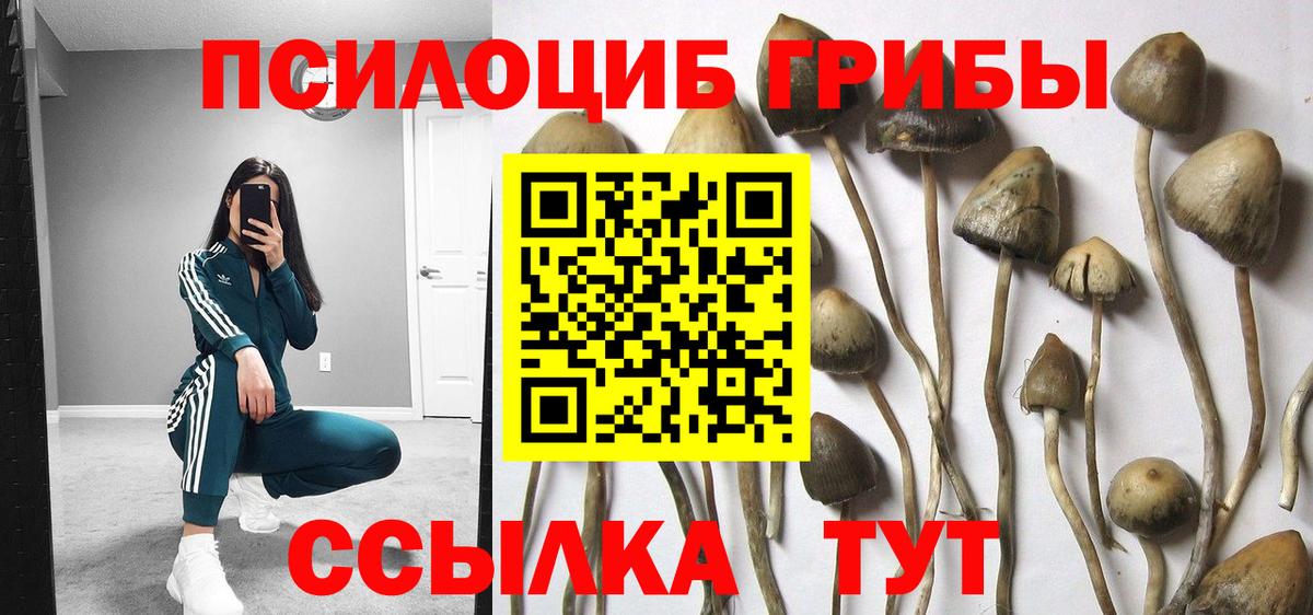 Псилоцибиновые грибы мухоморы Тюмень