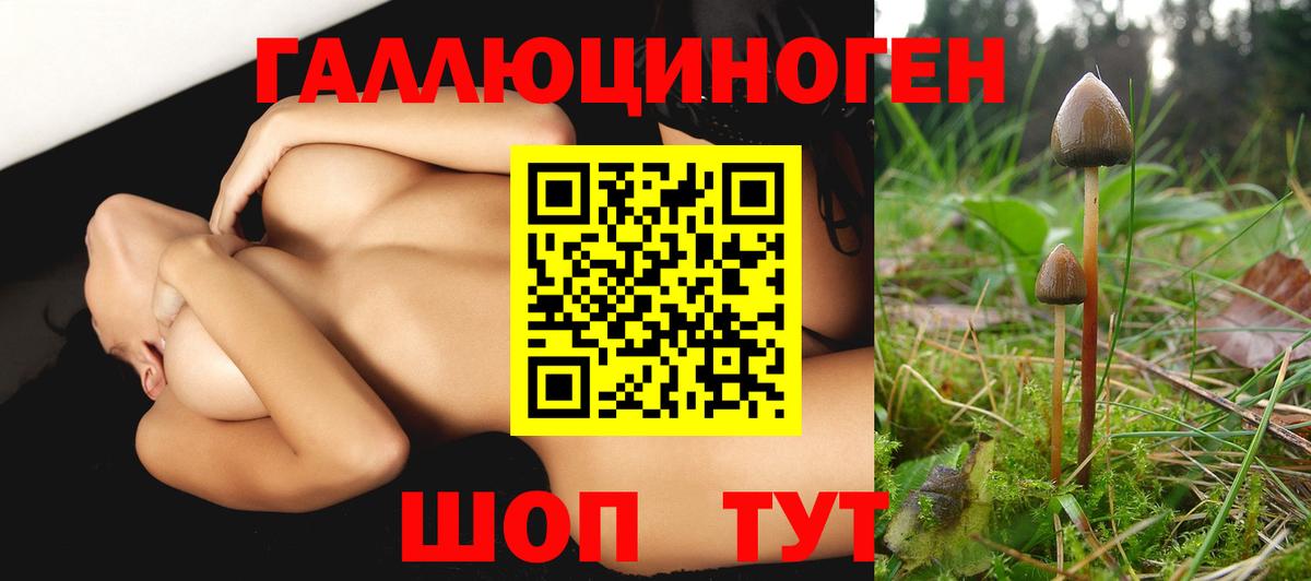 Тюмень  Галлюциногенные грибы Psilocybe  Вход с VPN 